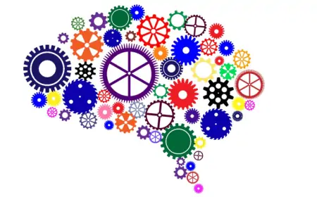 Genel Kültür Bilgine Ne Kadar Güveniyorsun?