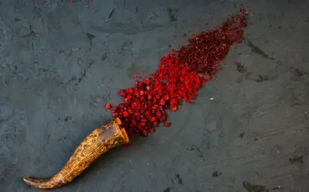 Sağlığınızı Anında Güçlendirecek Mucize Baharat: Sumak Ekşisi