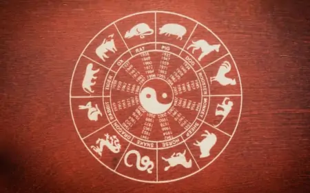 Çin Takvimine Göre Bebeğinizin Cinsiyetini Hesaplama