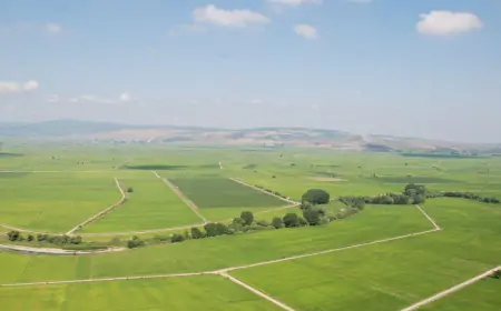 Arsa Payı Hesaplama Aracı