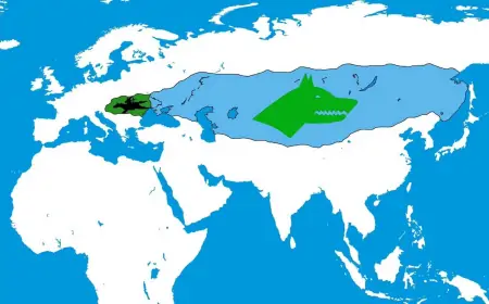 Göktürkler: Türklerin İlk Milli Devleti
