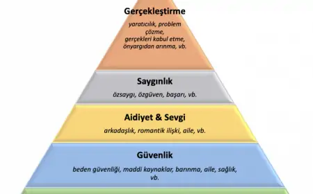 Maslow'un İhtiyaçlar Hiyerarşisi ve İş Dünyasındaki Uygulamaları