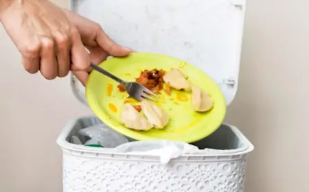 Sürdürülebilir Bir Yaşam İçin Gıda İsrafını Azaltma Rehberi