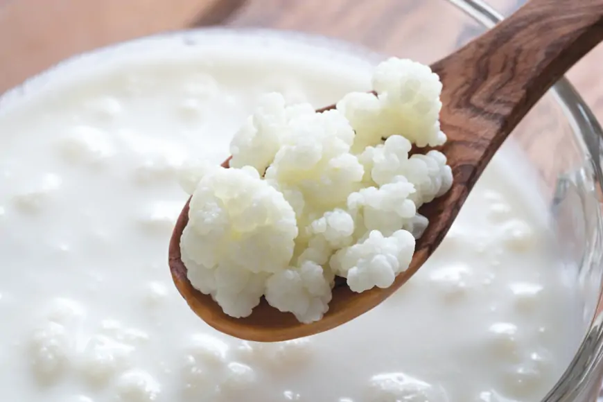 Kefir