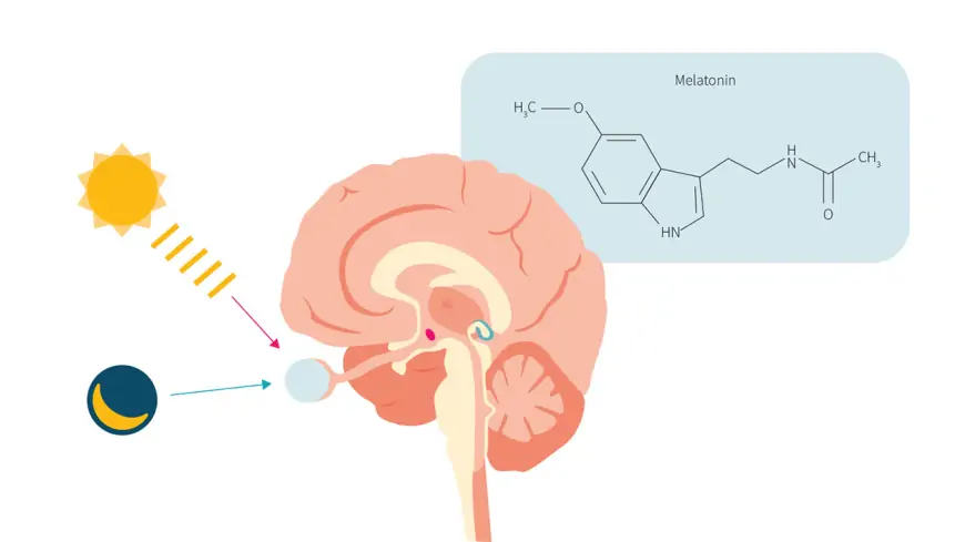 Melatonin