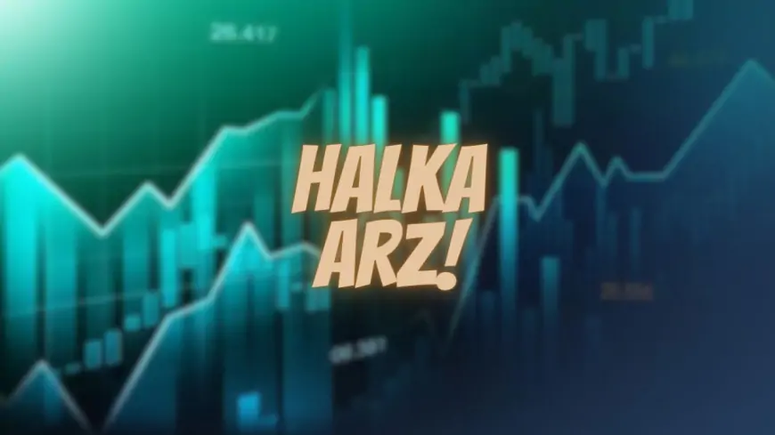 Halka Arz: Şirketlerin Büyüme Stratejisinin Anahtarı