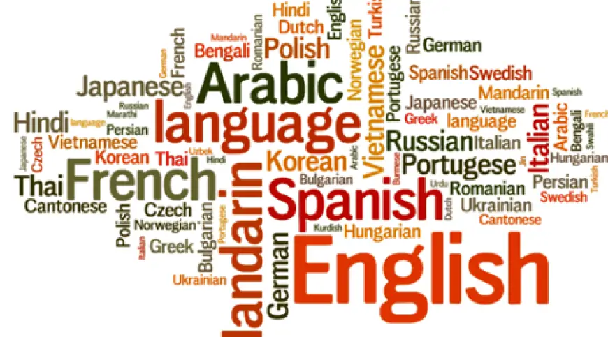 Kapsamlı Dil Öğrenme Rehberi: Başarıya Giden Detaylı Adımlar