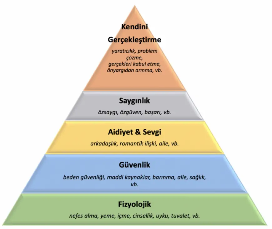 Maslow'un İhtiyaçlar Hiyerarşisi ve İş Dünyasındaki Uygulamaları