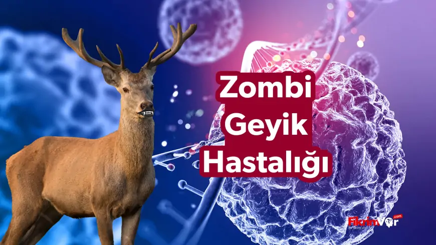 Kronik Zayıflama Hastalığı (CWD) Zombi Geyik Hastalığı