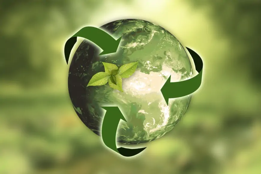 Sürdürülebilir Yaşam: Plastiksiz Alternatifler ve Geri Dönüşüm İpuçları