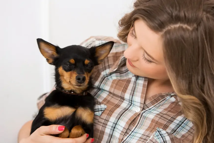 Köpek İshali ve Evde Tedavi Yöntemleri