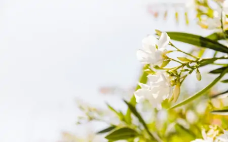 Göz Alıcı Görünümlerinin Ardındaki Tehlike: Dünyanın En Zehirli Çiçekleri