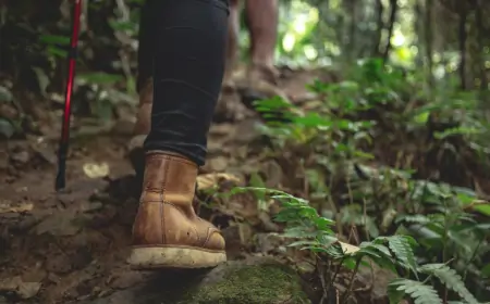 Doğa Yürüyüşleri ve Çevresel Farkındalık: Neden Önemli?