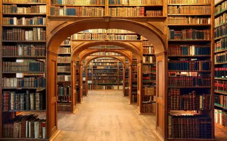 En Çok Çalınan Kitap: Politik Baskı ve Kitap Hırsızlığının Arkasındaki Dinamikler