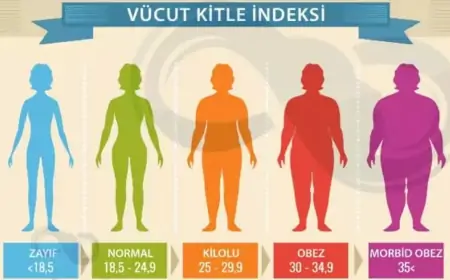Vücut Kitle İndeksi Nedir ve Nasıl Hesaplanır?