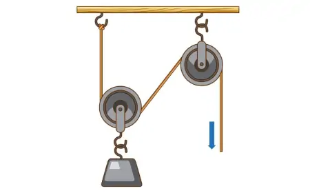 Hareket ve Kuvvetin Temel İlkeleri