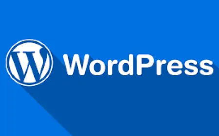 WordPress'te Etiketlerin Index Almasını Kapatmak