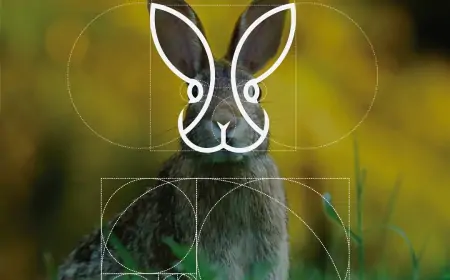 Fibonacci Dizisi ve Altın Oran: Doğanın Matematiksel Şifresi