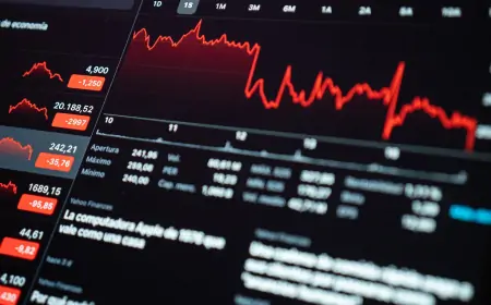 2024'te En Çok Kazandıracak Borsa Hisseleri ve Sektörler: Yatırım Stratejileri ve Öneriler