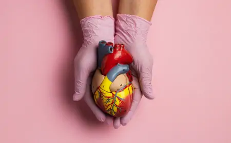 İnsan Yapımı Biyolojik Organlar: Organ Naklinde Yeni Bir Çağ