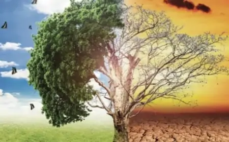 İklim Değişikliliğini Azaltma Yolları