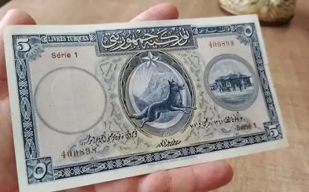 1927 Bozkurtlu Kağıt Paralar: Atatürk'ün Önerisi ile Nasıl Tasarlandı?