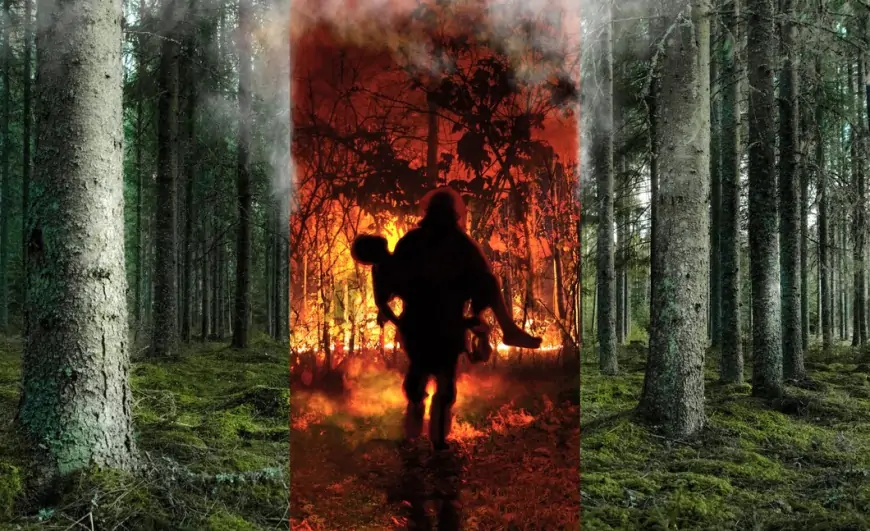 Orman Yangınları ve Çözüm Yolları