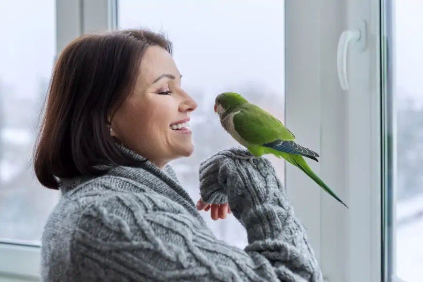 Evde Kuş Beslemenin 7 Püf Noktası: Sağlıklı ve Mutlu Kuşlar İçin