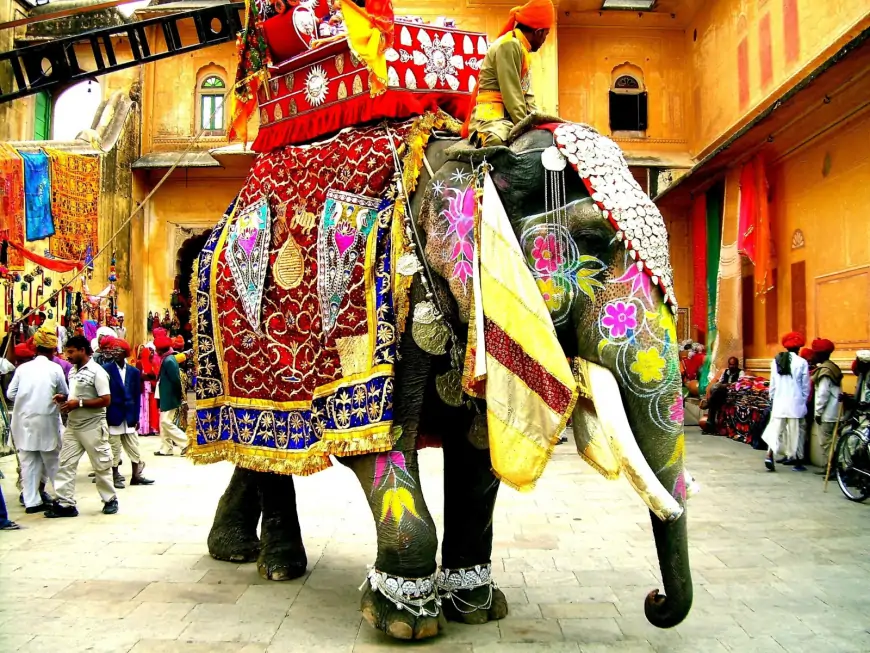 Fil Festivali (Hindistan)