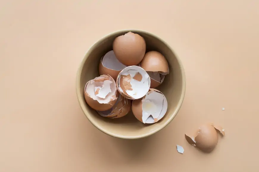 Yumurta Kabuğunun Şaşırtıcı Sağlık Yararları: İçindeki Hazineleri Keşfedin!