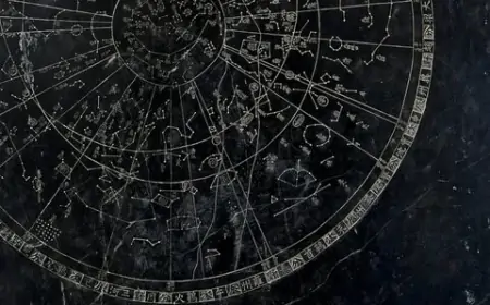 CİMER Üzerinden Doğum Saati Sorgulama Nasıl Yapılır?