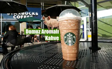 Starbucks'ın Çin'de Yeni Çıkardığı Domuz Aromalı Kahve: İlginç Bir Deneyim mi Yoksa Tartışmalı Bir Seçim mi?