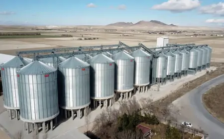 Türkiye'de Lisanslı Depoculuk: Lidaş Şirketlerinin Tarım Sektörüne ve Ekonomiye Katkıları