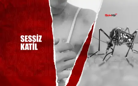 Sessiz Katil: Asıl Tehlike Maymun Çiçeği Değil, Sivrisinekler