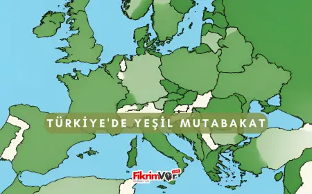 Türkiye'de Yeşil Mutabakat: Sürdürülebilirlik ve Karbon Nötr Gelecek İçin Atılan Adımlar