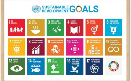 What Are the United Nations' 17 Sustainable Development Goals?
