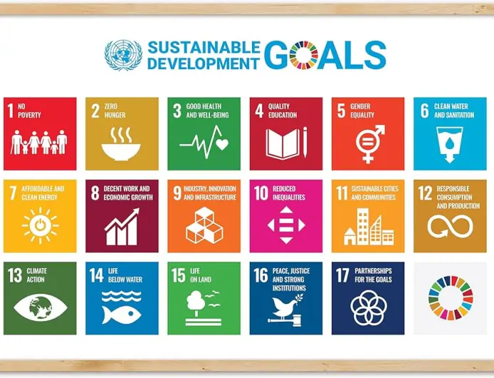 What Are the United Nations' 17 Sustainable Development Goals?