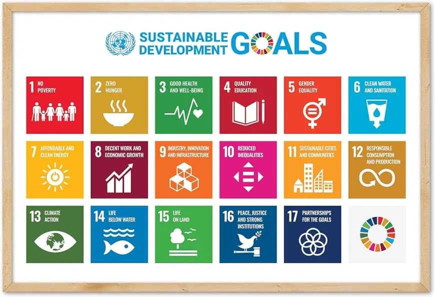 What Are the United Nations' 17 Sustainable Development Goals?