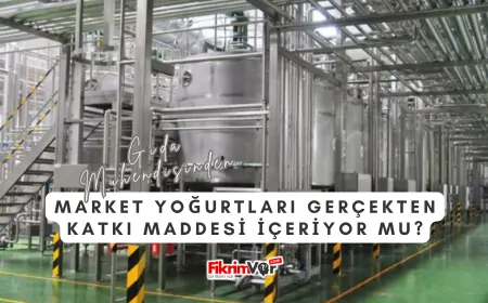Gıda Mühendisinden: Market Yoğurtları Gerçekten Katkı Maddesi İçeriyor mu?